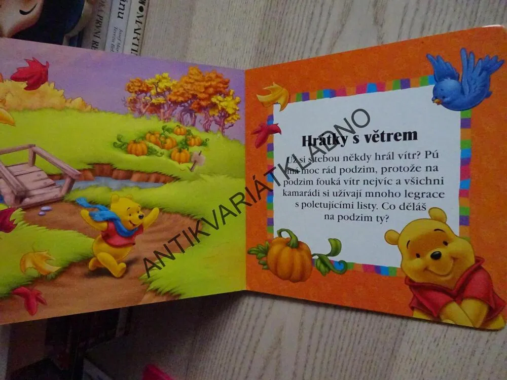 POJĎ SI HRÁT! MEDVÍDEK PÚ, MAGNETICKÁ KNÍŽKA, DISNEY, **an