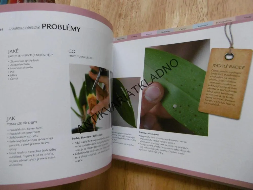 RYCHLÝ RÁDCE ORCHIDEJE, 99 RAD PRO RYCHLÉ ŘEŠENÍ PROBLÉMŮ