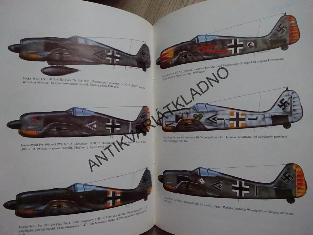 ASY LUFTWAFFE, POLSKY