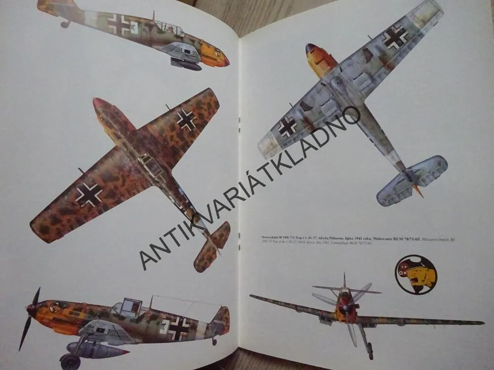 MESSERSCHMITT BF 109 COLOR, POLSKY