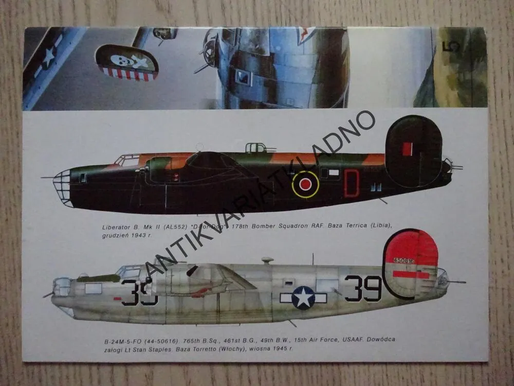 B-24 LIBERATOR, POLSKY