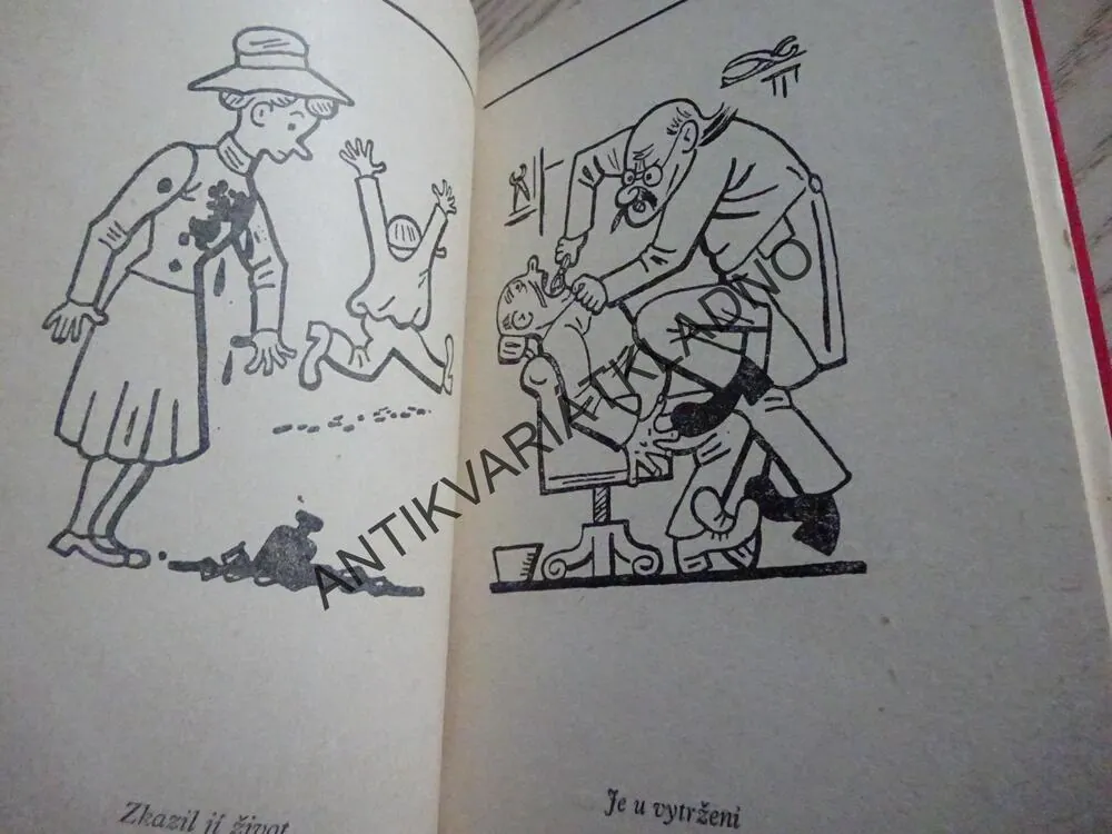 ILUSTROVANÁ FRAZEOLOGIE, JOSEF LADA, **an