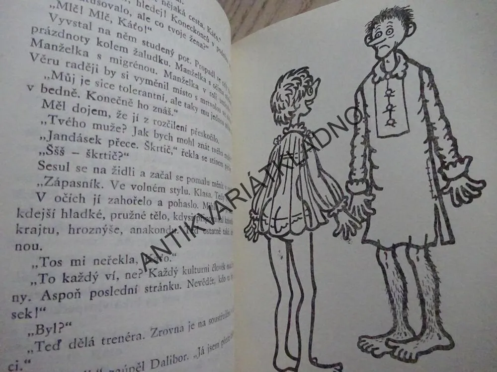 PŘEŽIJÍ MUŽI ROK DVA TISÍCE?, JAROMÍRA KOLÁROVÁ, **an