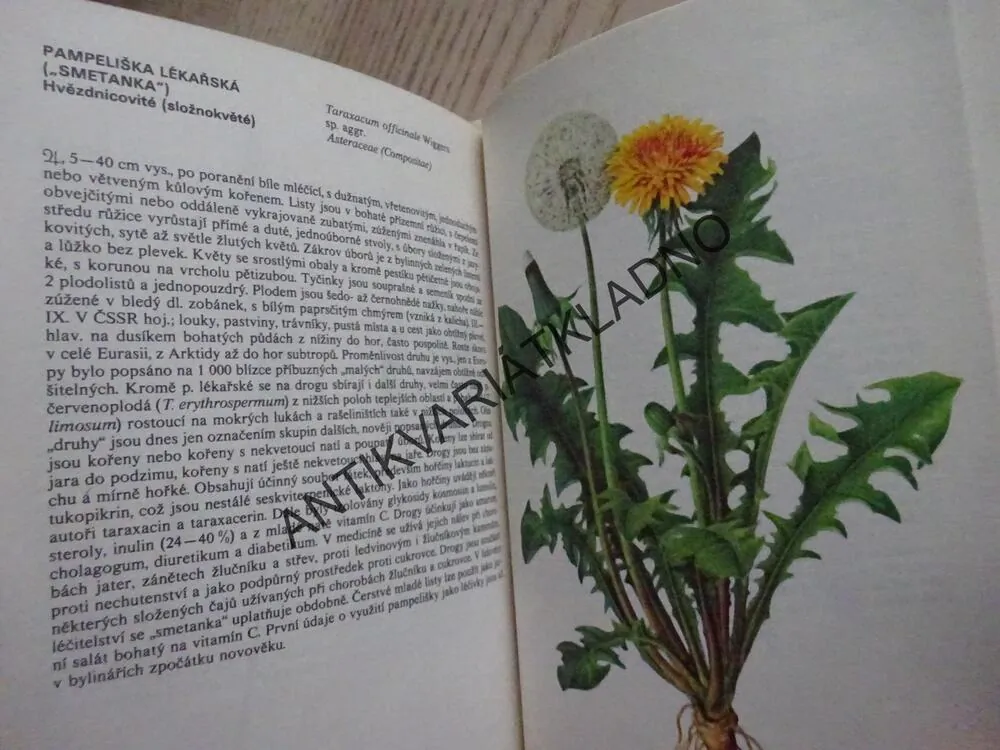 KAPESNÍ ATLAS LÉČIVÝCH ROSTLIN, VÁCLAV JIRÁSEK, FRANTIŠEK STARÝ, FRANTIŠEK SEVERA, **an