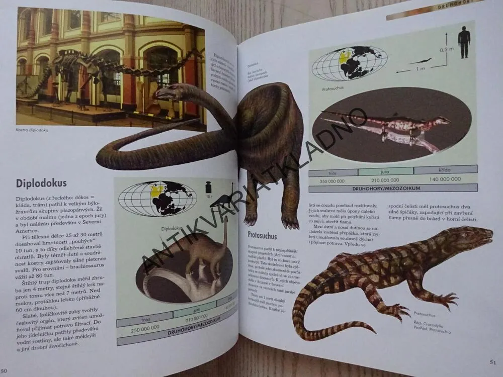 DINOSAUŘI, VĚDOMOSTI V KOSTCE, **an