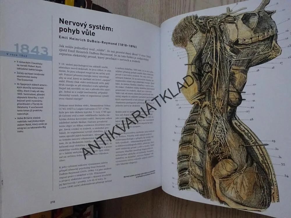 ENCYKLOPEDIE VĚDĚNÍ LIDSTVA, PŘEVRATNÉ OBJEVY A VYNÁLEZY, **an