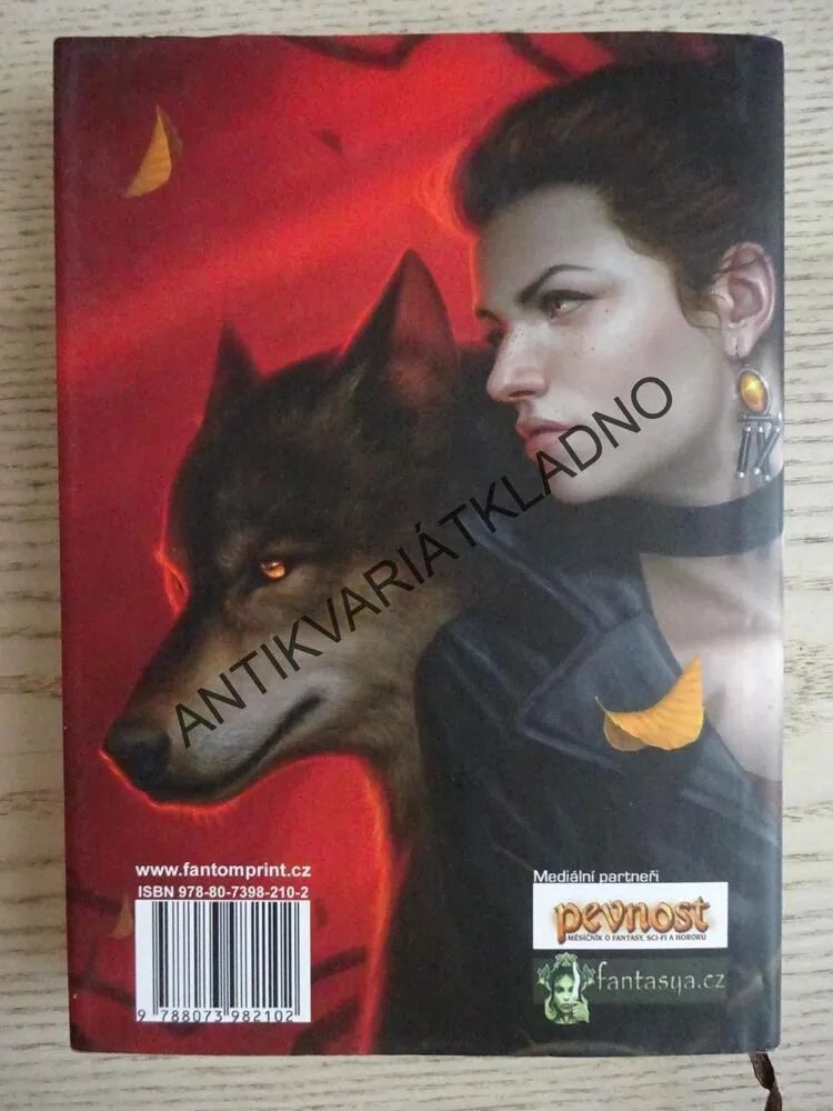 DVOJÍ SPRAVEDLNOST, PATRICIA BRIGGS, **an