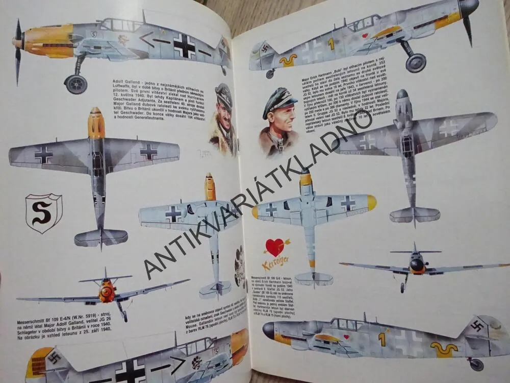 MESSERSCHMITT BF 109, LETECTVÍ