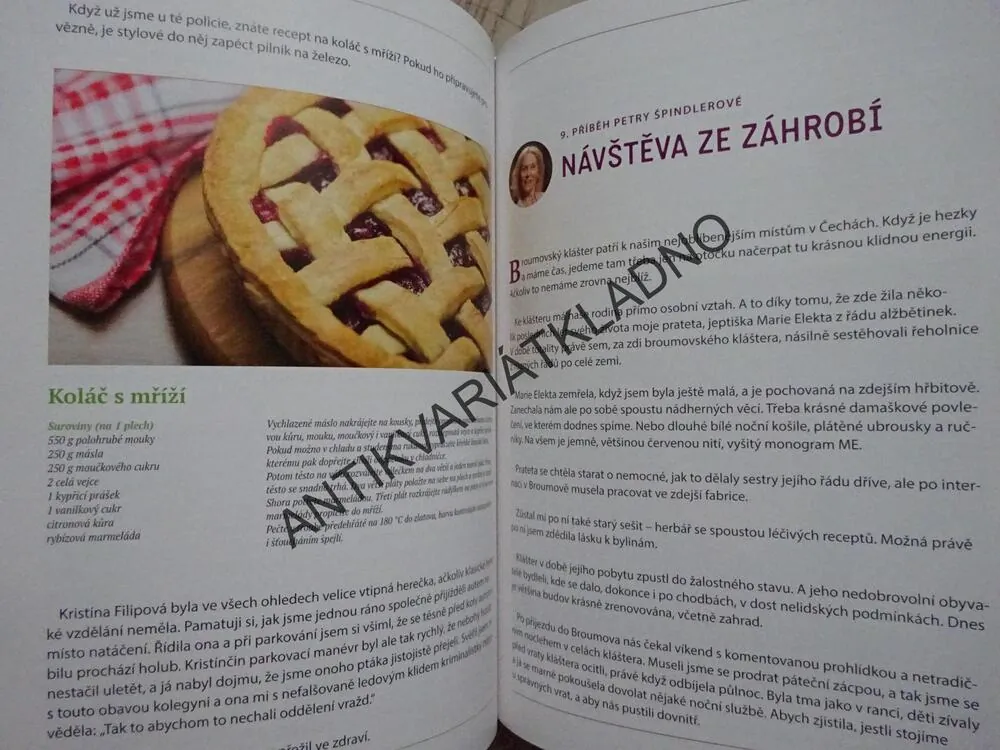 STŘÍPKY ZE ŽIVOTA, PETRA ŠPINDLEROVÁ, PAVEL ŠIMČÍK, **an