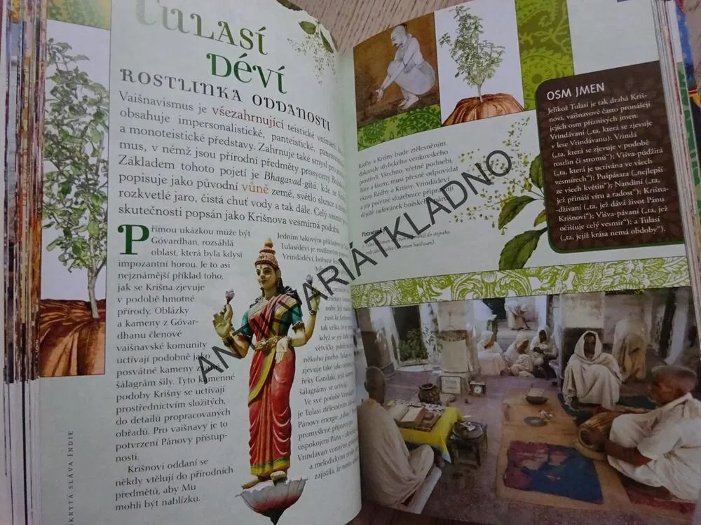 SKRYTÁ SLÁVA INDIE, STEVEN J. ROSEN, **an