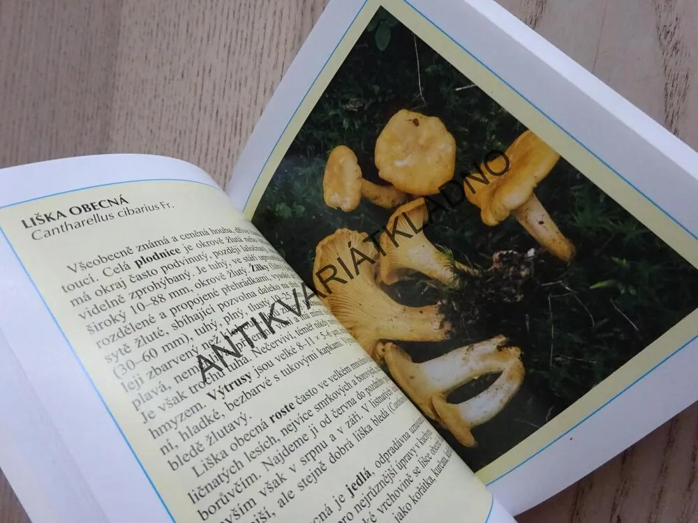 KAPESNÍ ATLAS HUB, MIROSLAV SMOTLACHA, **an