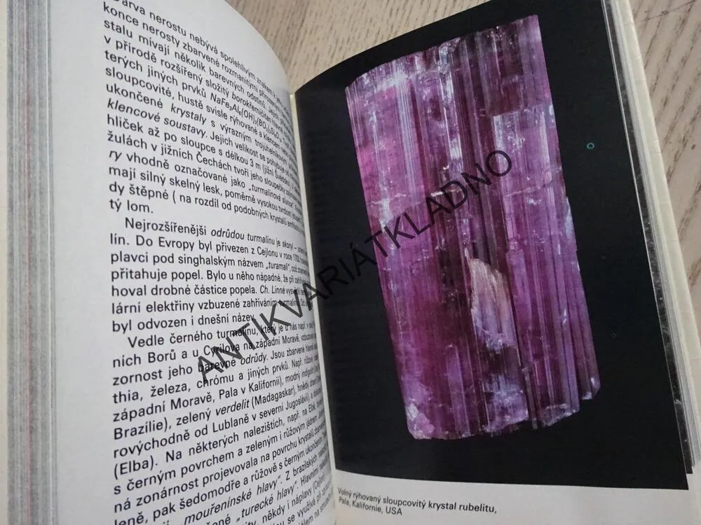 KAPESNÍ ATLAS NEROSTŮ A HORNIN, KAREL TUČEK, FRANTIŠEK TVRZ, **an