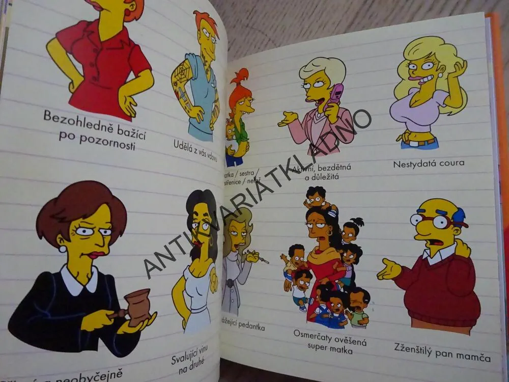 MARGINA KNIHA, SIMPSONOVA KNIHOVNA MOUDROSTI, SIMPSONOVI, **an
