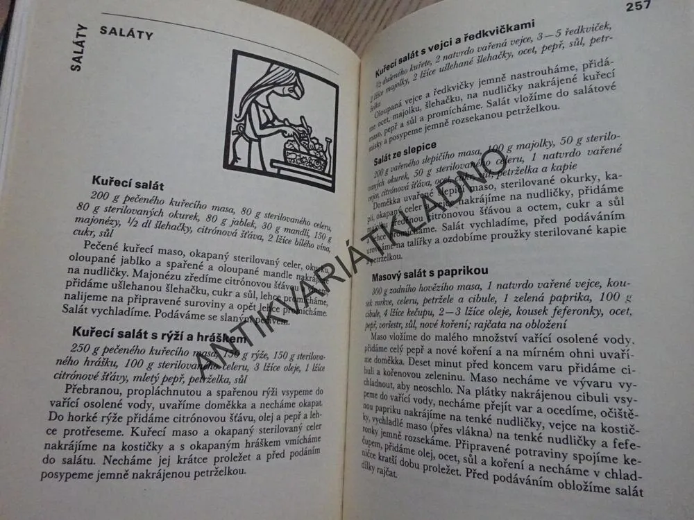 PRO PESTRÝ STŮL, LIBUŠE VLACHOVÁ, **an