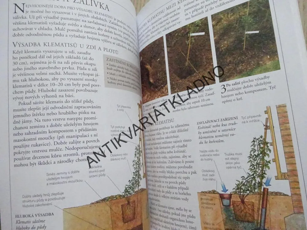 KLEMATISY, PRAKTICKÝ RÁDCE, **an