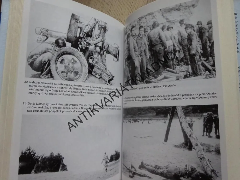 HRÁZ PROTI INVAZI, NĚMECKÁ ARMÁDA V DEN D, DAVID C. ISBY, **an
