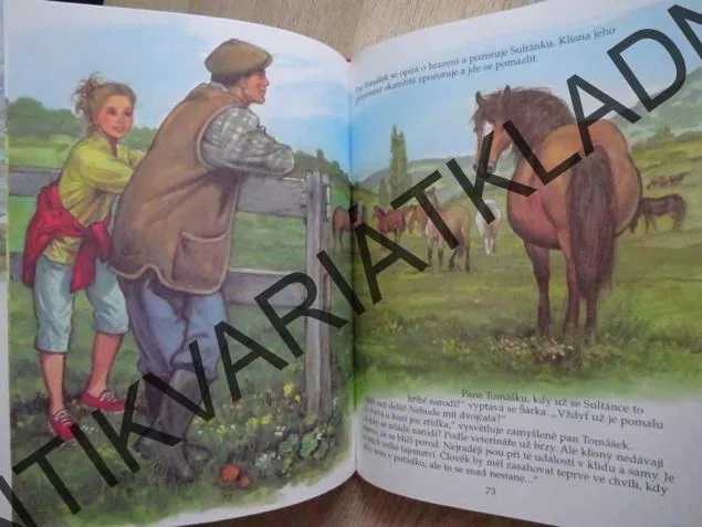 V ŘÍŠI KONÍ, KARINE LEFRANC, FRANCOISE LE GLOAHEC, PIERRE COURONNE, **an