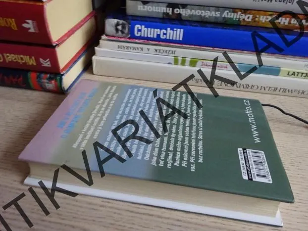 JAK JSEM SE ZBLÁZNILA, IVANKA DEVÁTÁ, **an