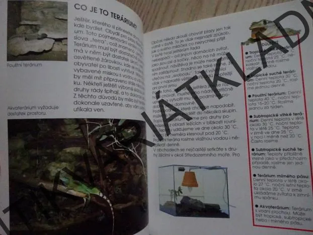 BYDLÍ S NÁMI JEŠTĚR, MICHAEL FOKTA, **an