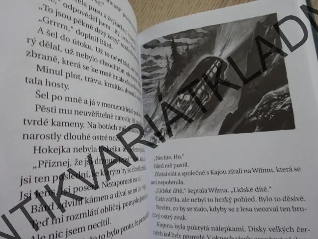 ZA HOROU SMRTI, HILDE HAGERUPOVÁ, **an