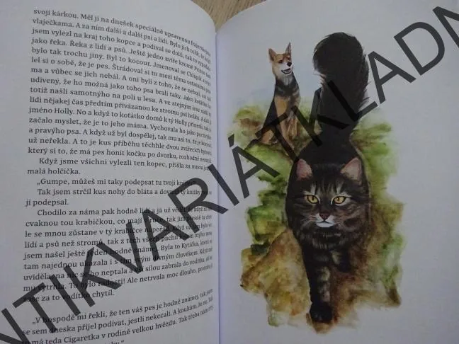 GUMP, JSME DVOJKA, FILIP ROŽEK, **an