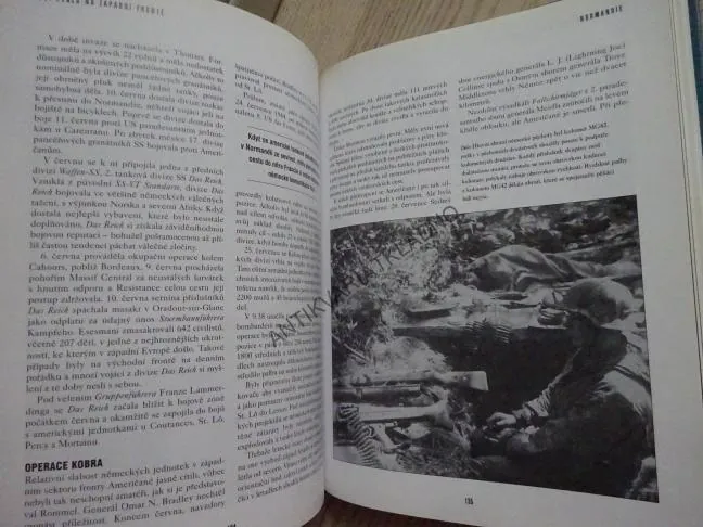 SS: PEKLO NA ZÁPADNÍ FRONTĚ, **an