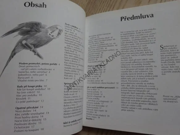 ANDULKA, PAPOUŠEK VLNKOVANÝ, ANNETTE WOLTEROVÁ, **an