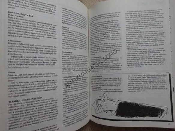 STARÉ A NOVÉ ZPŮSOBY LÉČENÍ, J. MAYA PILKINGTONOVÁ, **an