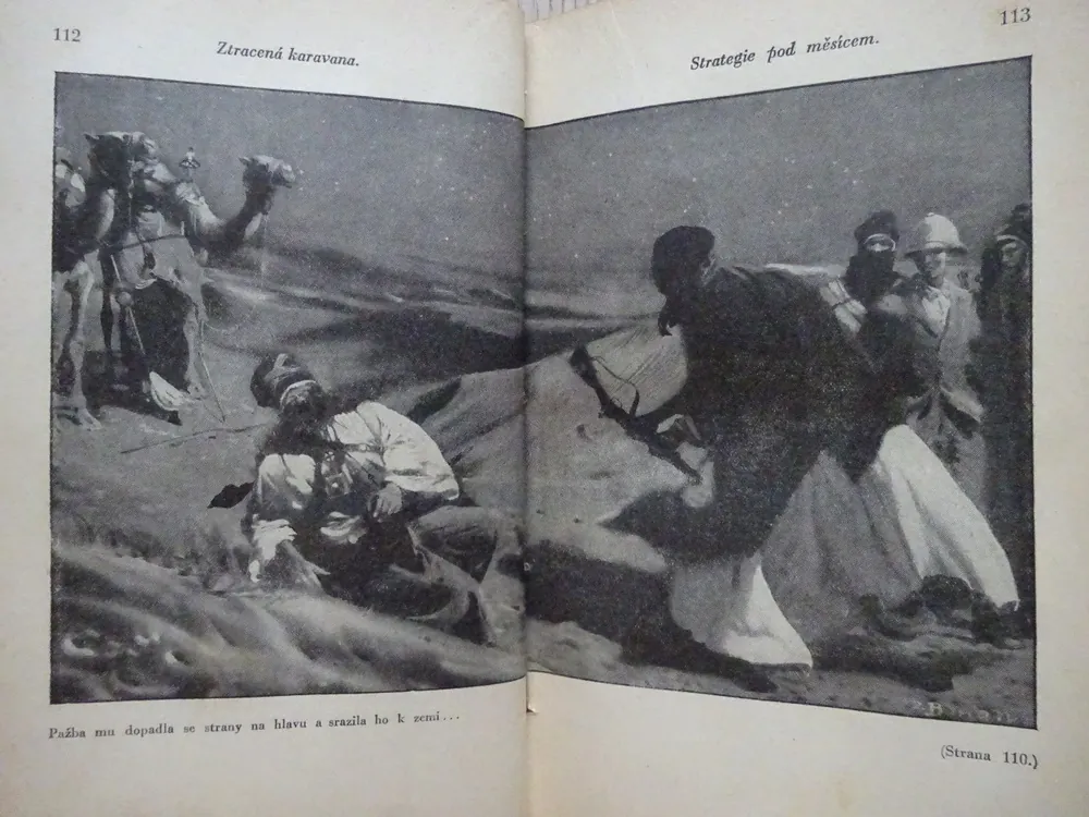ZTRACENÁ KARAVANA, WALDO FLEMING, **an