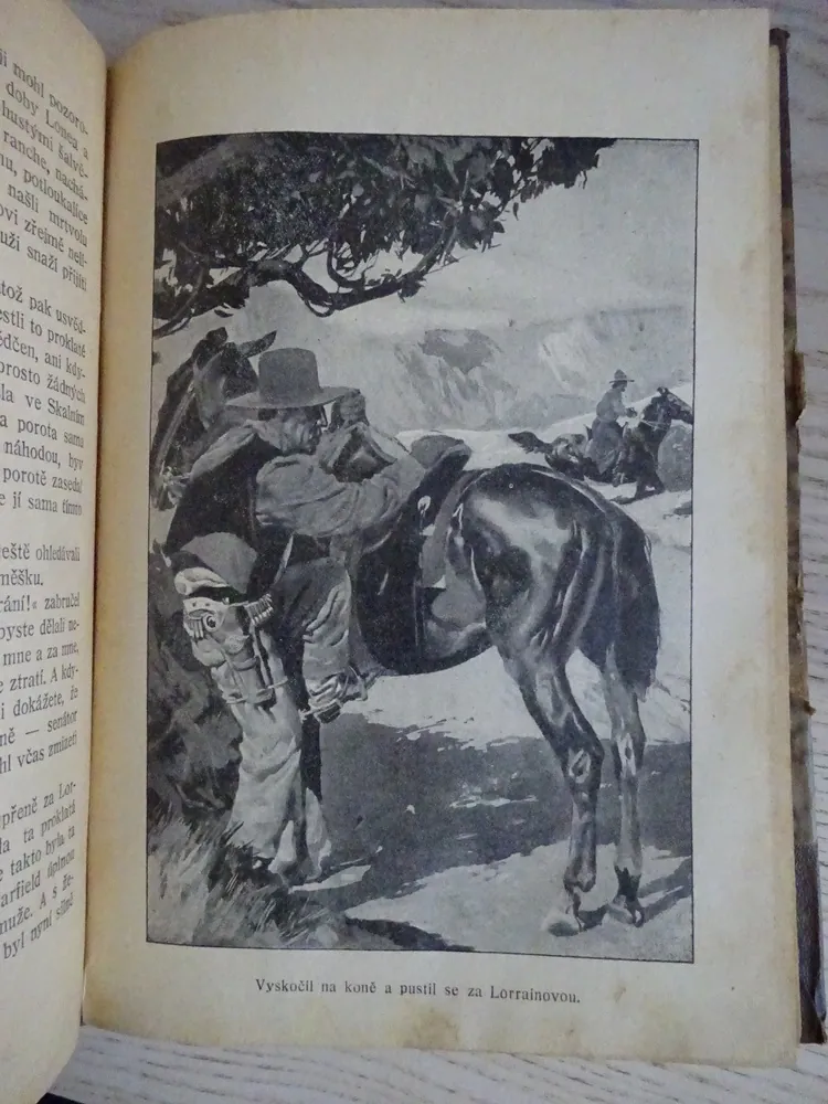 LORRAINE HUNTEROVÁ NA DIVOKÉM ZÁPADĚ, B. M. BOWER, **an