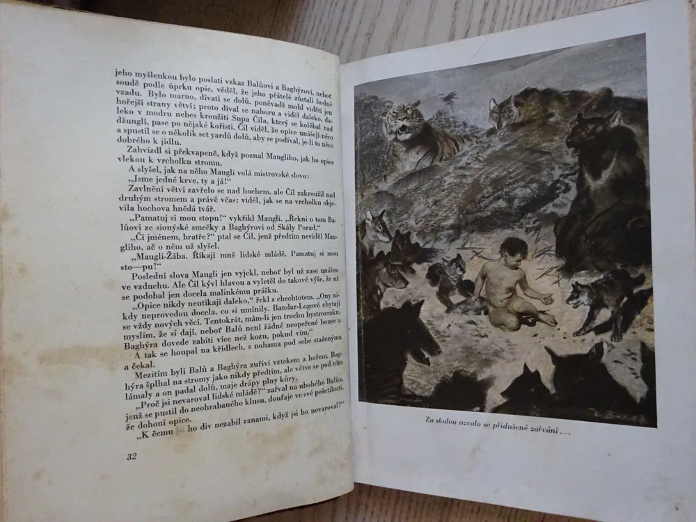 MAUGLÍ, RUDYARD KIPLING, **an