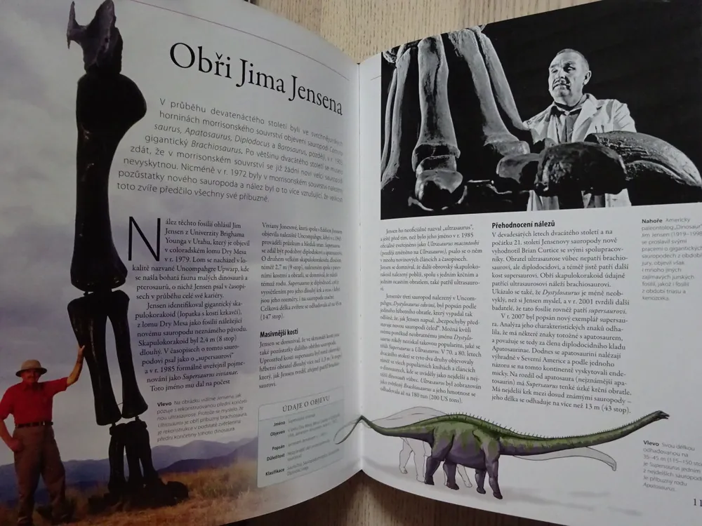 DINOSAUŘI, VELKÁ KNIHA OBJEVŮ, DARREN NAISH, **an