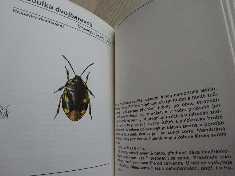 KAPESNÍ ATLAS PLOŠTIC A KŘÍSŮ, VLADIMÍR JAVOREK, **an