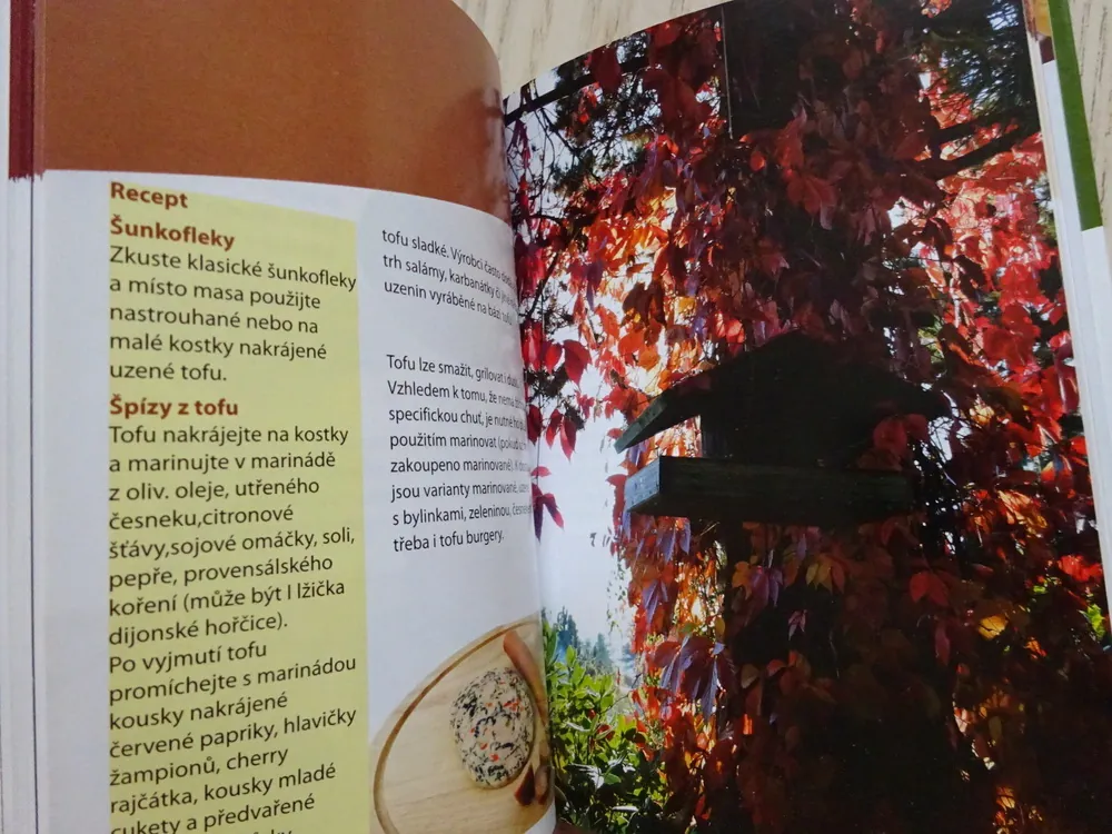 KAPESNÍ BIOLEXIKON, JAROSLAV FORŠT, ZDRAVÁ VÝŽIVA, **an