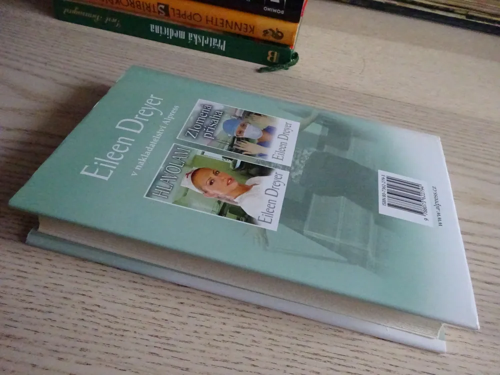 HŘÍŠNÍCI A SVĚTCI, EILEEN DREYER, **an