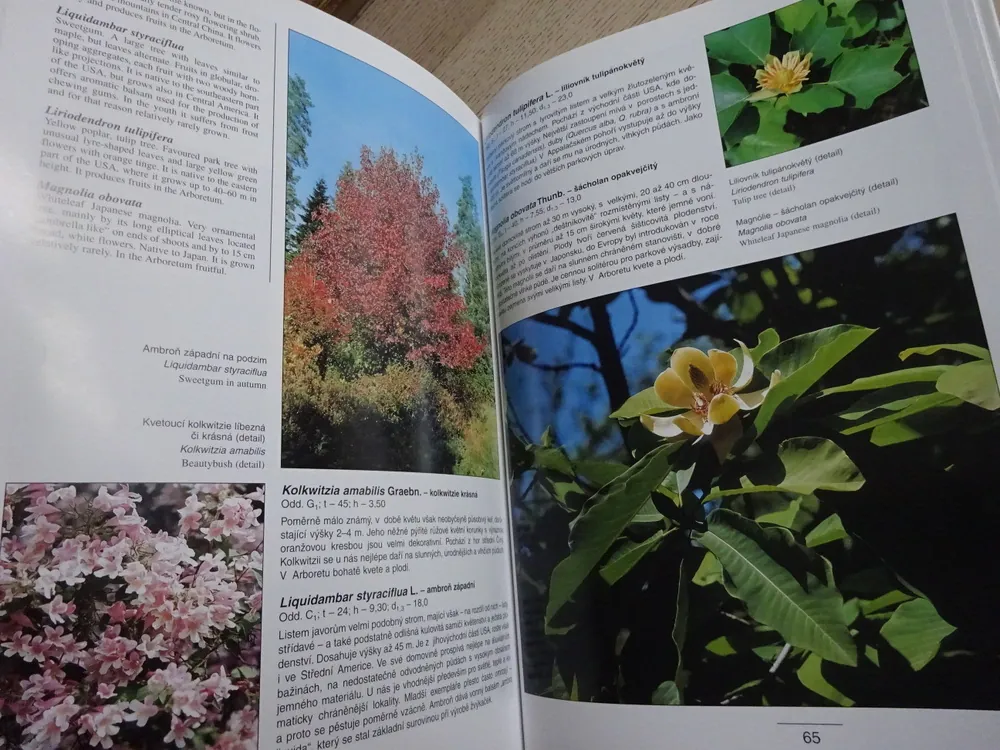ARBORETUM LESNICKÉ FAKULTY ČZU V PRAZE, KOSTELEC NAD ČERNÝMI LESY, **an