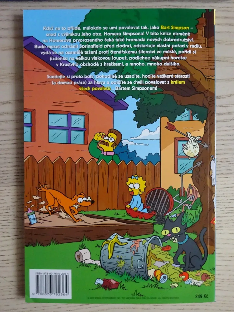 SIMPSONOVI, VELKÁ POVALEČSKÁ KNIHA BARTA SIMPSONA, **an