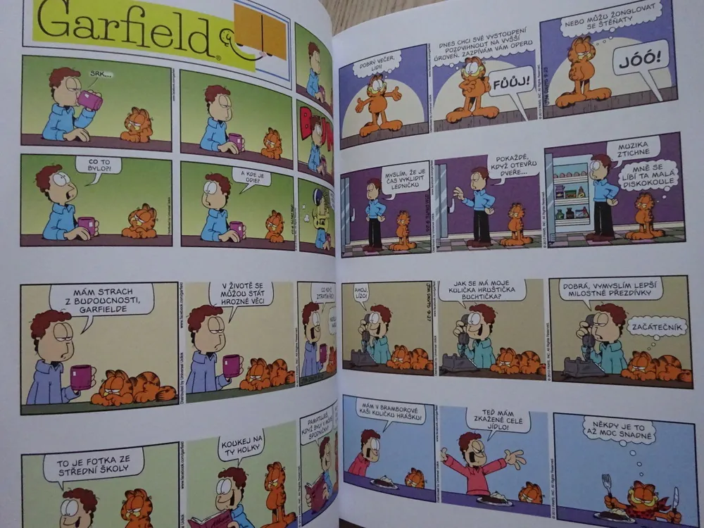 GARFIELD CHODÍ SPÁT SE SLEPICEMI, JIM DAVIS, **an