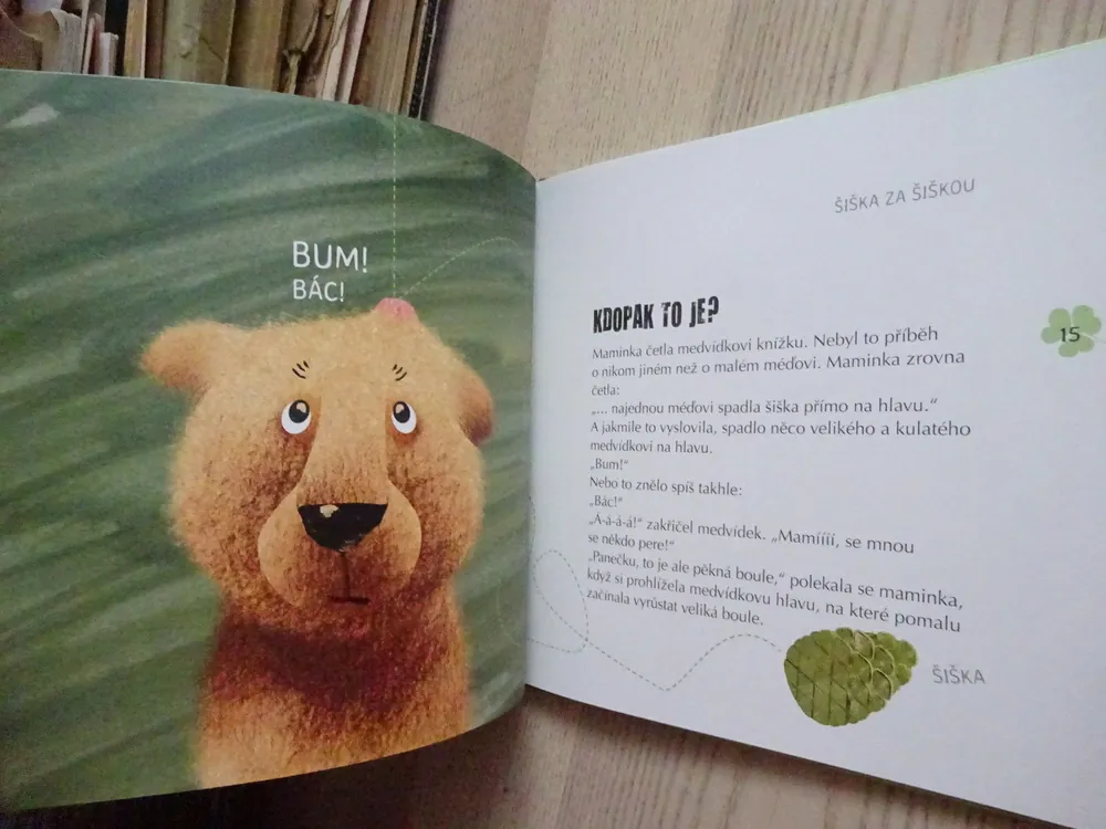 MEDVÍDEK V LESE, VYDEJ SE S NÍM ZA POZNÁNÍM, NATALJA ČUB, **an