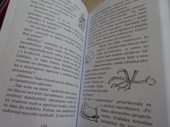 ČARODĚJNICE, ROALD DAHL, **an