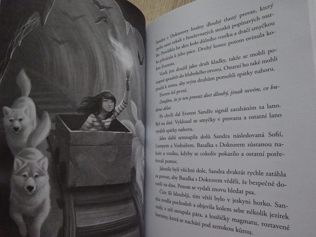 OCHRÁNCI DIVOČINY, STRÁŽCI TAJGY, **an