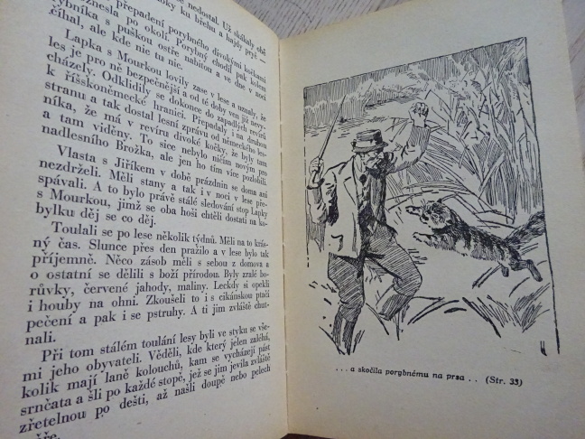 SYNOVÉ LESŮ, JOSEF KOVÁŘ, **an