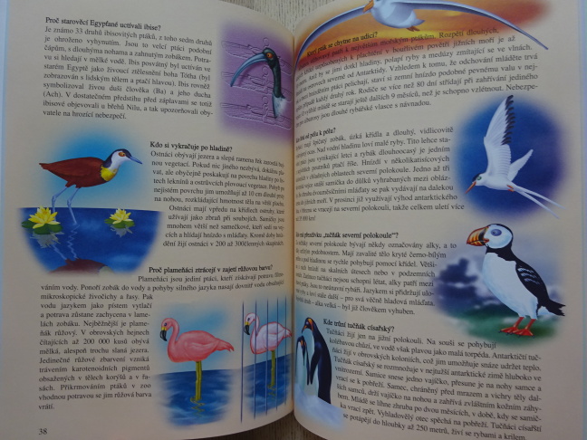 ZNÁŠ ZVÍŘATA? OTÁZKY A ODPOVĚDI PRO ZVÍDAVÉ DĚTI, **an