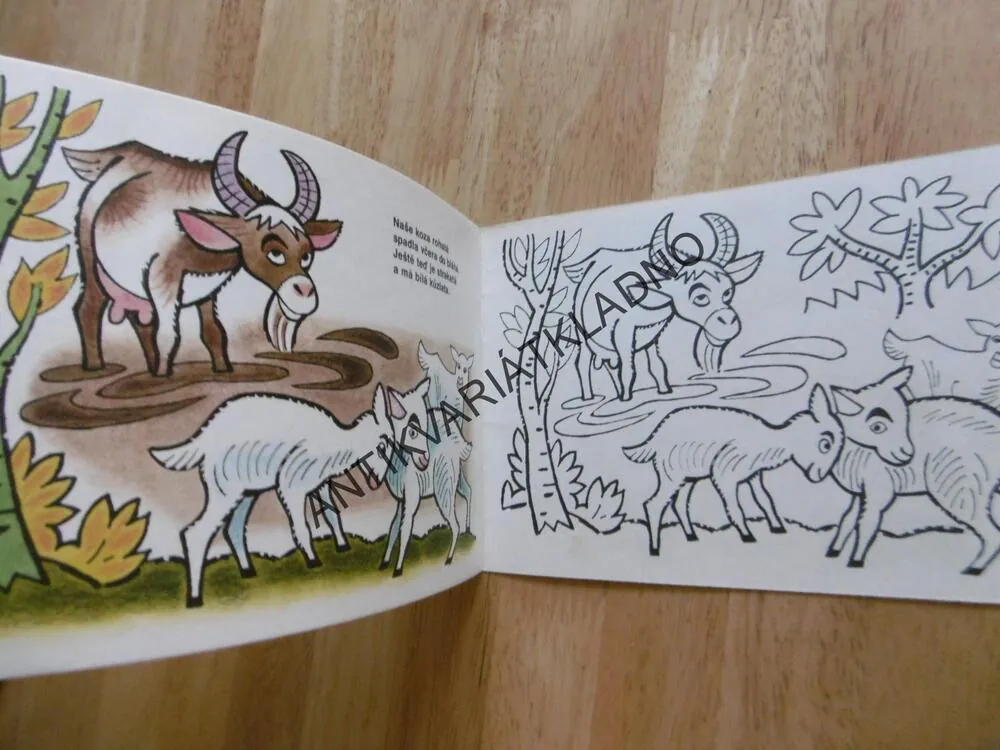 U RYBNÍKA A V RÁKOSÍ, KOLÁŘOVÁ, ŠKODA,