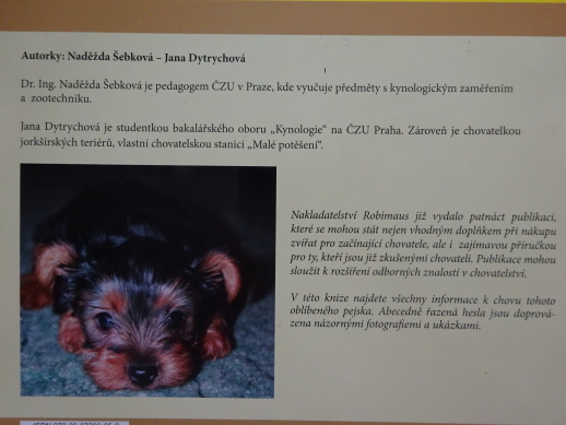 JORKŠÍRSKÝ TERIÉR, **an