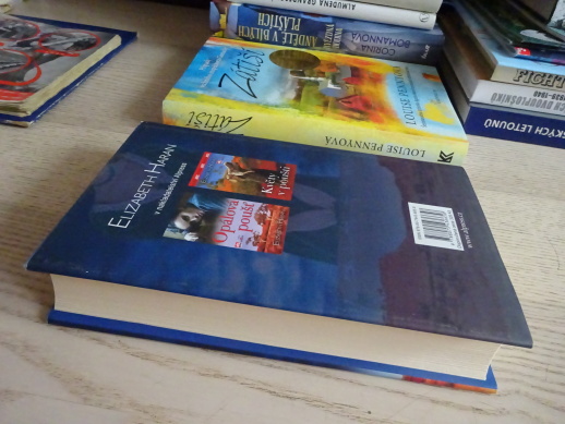 ZA JASNÉ NOCI, ELIZABETH HARAN, **an