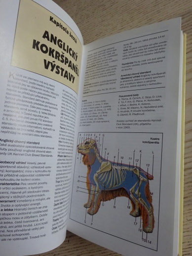 AMERIČTÍ A ANGLIČTÍ KOKRŠPANĚLÉ, FRANK KANE, PHYLLIS WISEOVÁ, **an