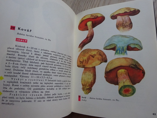 KAPESNÍ ATLAS HUB, PILÁT, UŠÁK,  HOUBY, **an