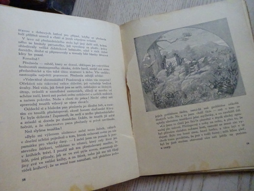 POZDRAVY Z LESŮ A POLÍ, VILMA SOKOLOVÁ, **an