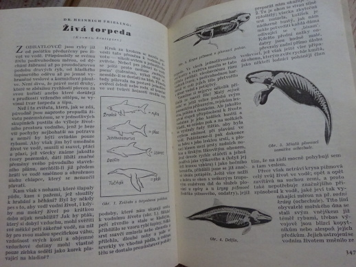 SVĚTOVÝ ZDROJ ZÁBAVY A POUČENÍ, ČASOPIS, č. 44, 1940
